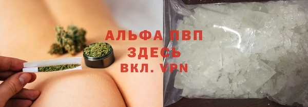 бошки Богданович