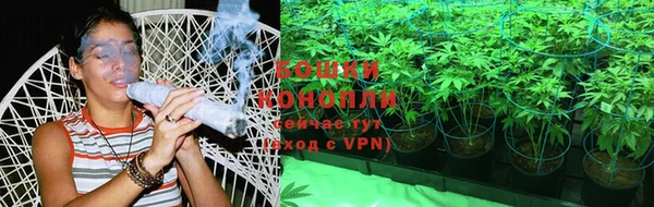бошки Богданович